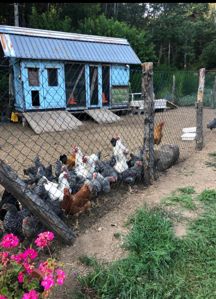 Willa Agriturismo La Casa Nel Bosco Boveglio Zewnętrze zdjęcie