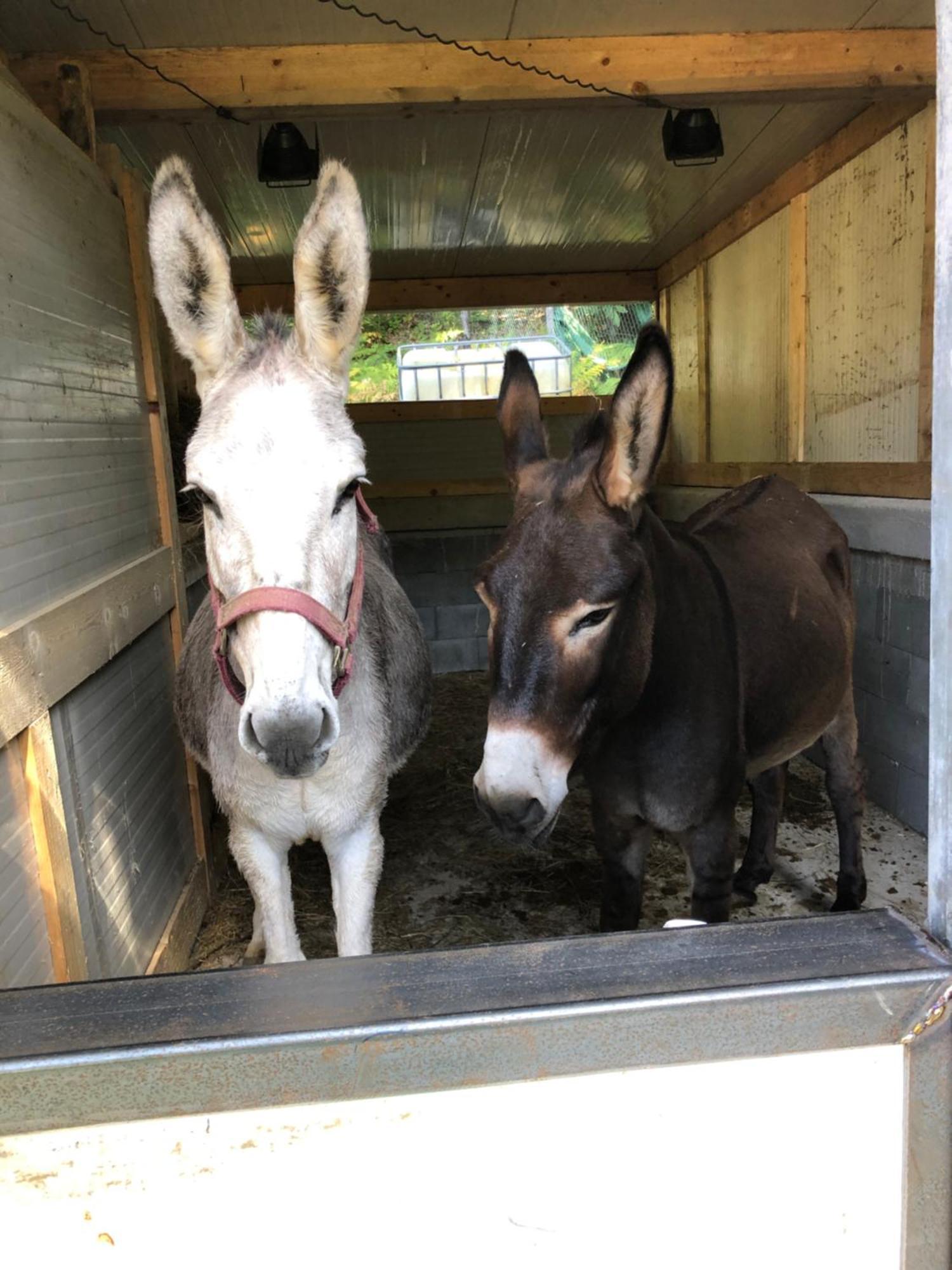 Willa Agriturismo La Casa Nel Bosco Boveglio Zewnętrze zdjęcie