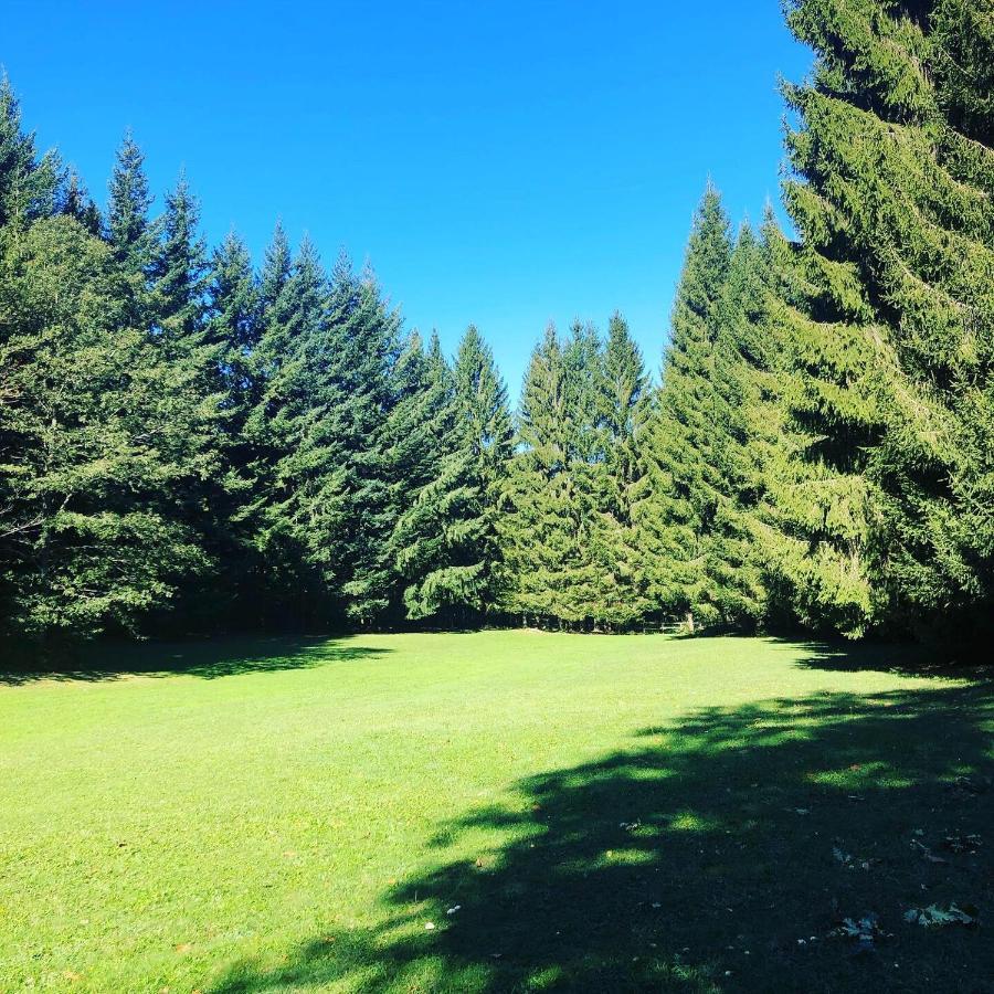 Agriturismo La Casa Nel Bosco Boveglio Zewnętrze zdjęcie